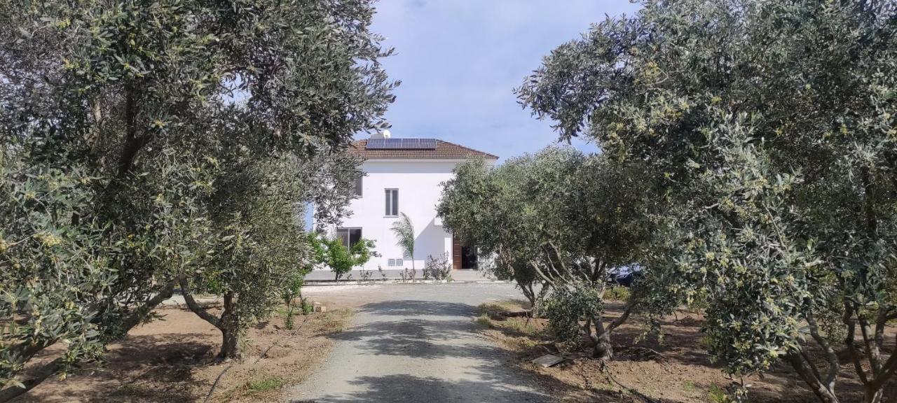 Kiti Village Villa, Cyprus, Salt-Water Pool, 6 Bedrooms, Larnaca Εξωτερικό φωτογραφία