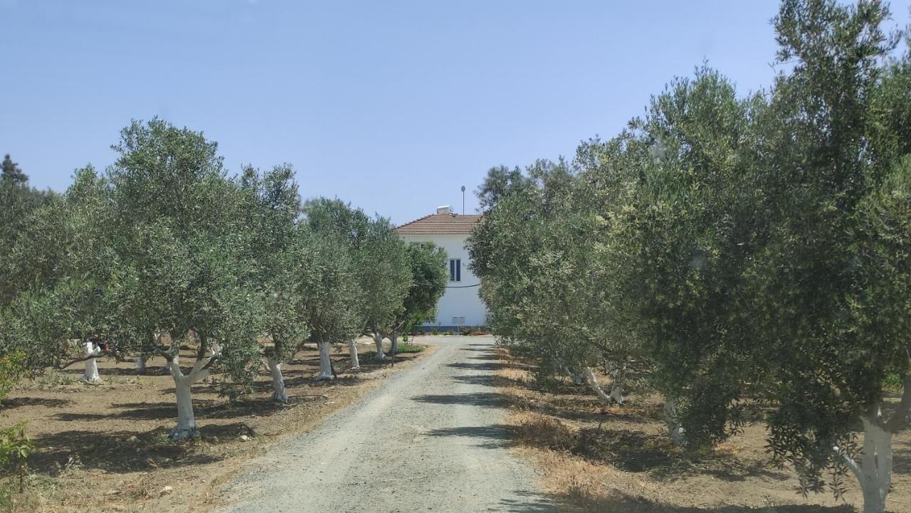 Kiti Village Villa, Cyprus, Salt-Water Pool, 6 Bedrooms, Larnaca Εξωτερικό φωτογραφία
