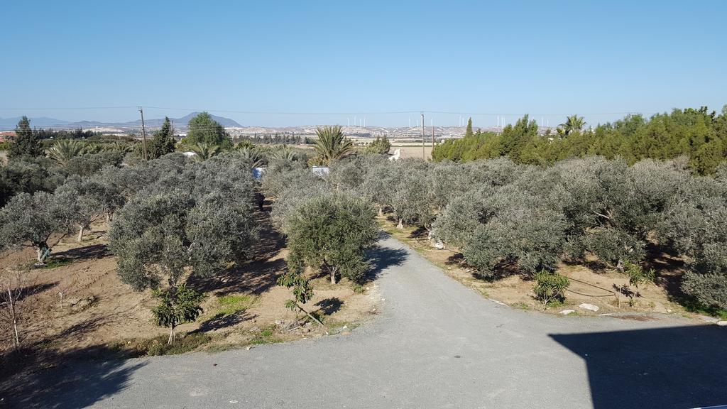 Kiti Village Villa, Cyprus, Salt-Water Pool, 6 Bedrooms, Larnaca Εξωτερικό φωτογραφία